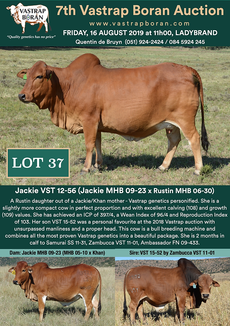 37 Jackie VST 12-56