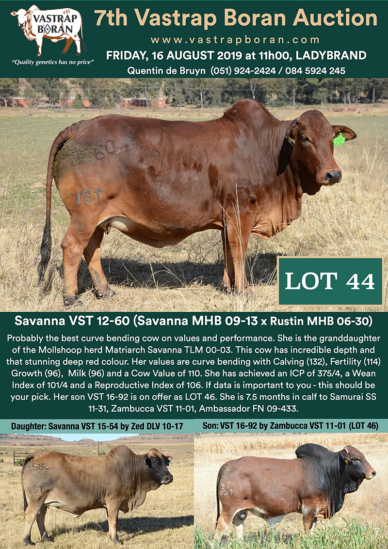 44 Savanna VST 12-60