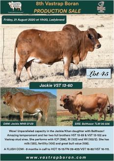 Sold for R90'000 to Keith Peinke of Peinke Ranch.